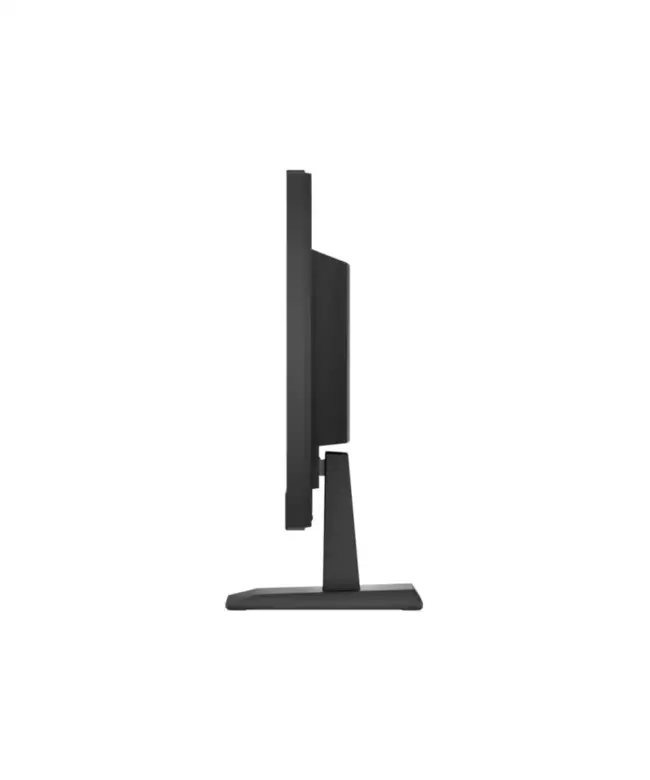HP P19b-G4 (18.5'') LED Monitor