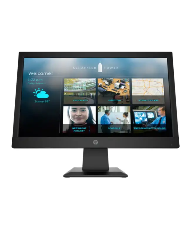 HP P19b-G4 (18.5'') LED Monitor