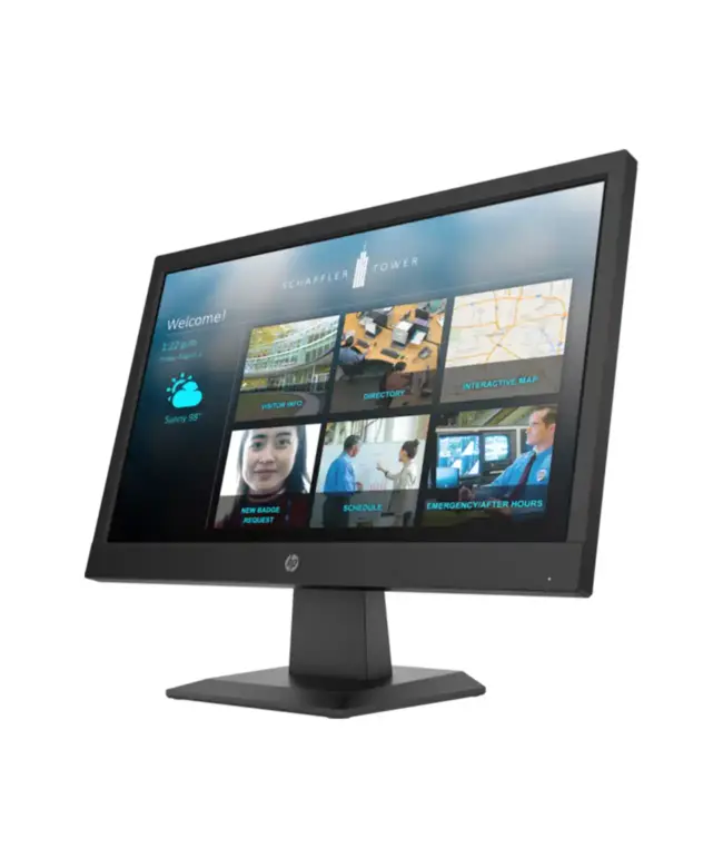 HP P19b-G4 (18.5'') LED Monitor